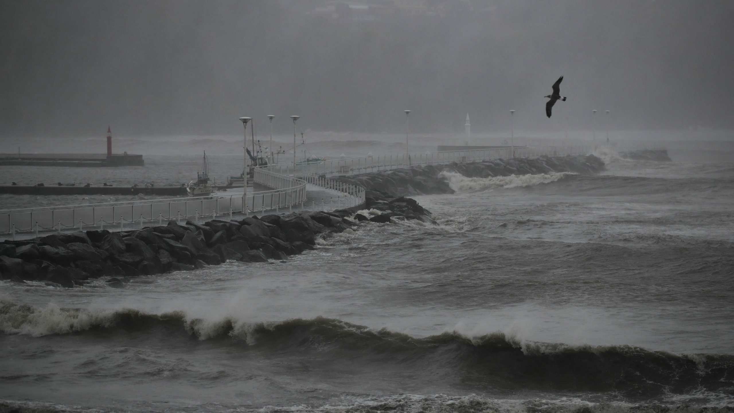 Tajfun Hagibis u Japanu već nosi žrtve (VIDEO) 1