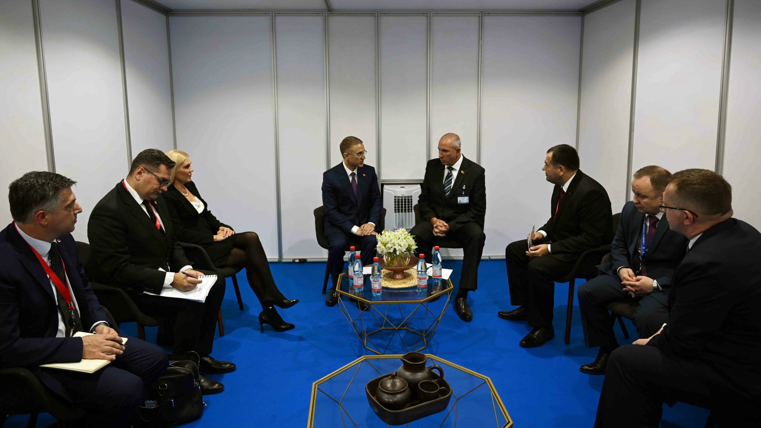 Stefanović: Povlačenje kandidature Kosova u Interpol pobeda međunarodnog prava 1