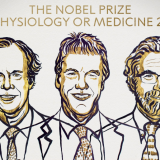 Nobelova nagrada za medicinu trojici naučnika 14