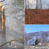 Žagubica: Gori šuma na Beljanici 1