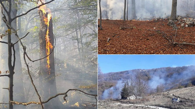 Žagubica: Gori šuma na Beljanici 1