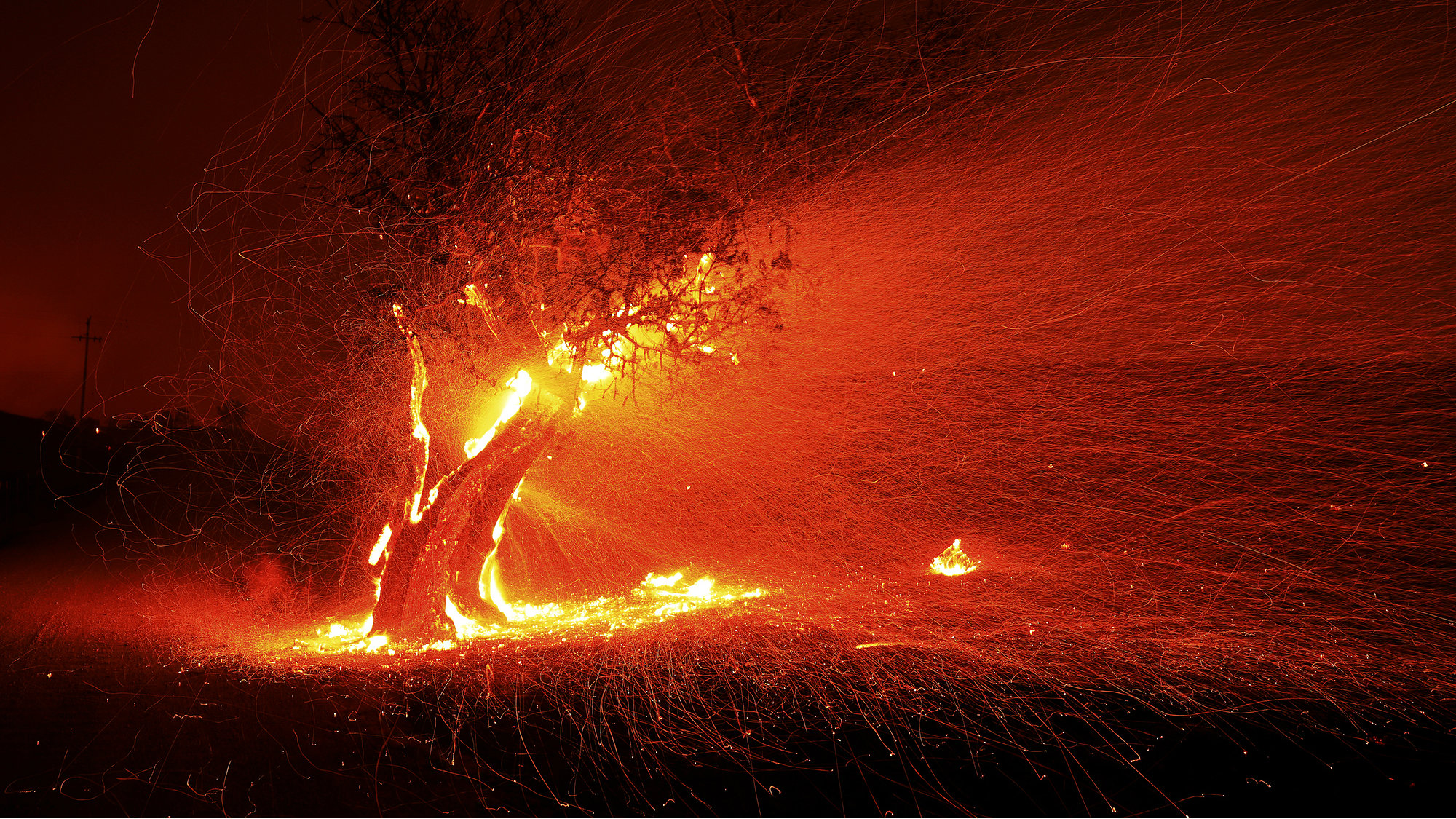 Zbog požara na jugu Kalifornije izdato ekstremno upozorenje sa crvenom zastavom 1