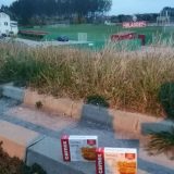 Protestna šetnja u Apatinu: Sarma za funkcionerku 3