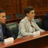 Vlada Srbije o igrama na sreću, lečenju, ličnim kartama, kulturi 10