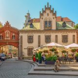 U Poljskoj i Češkoj osetan pad broja novozaraženih 11