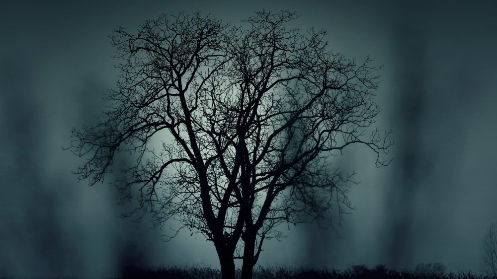 DW: Zašto ljudi vole da se plaše? 1