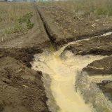 SSP: Zrenjanin postaje lider u regionu za najprljavije industrije 1