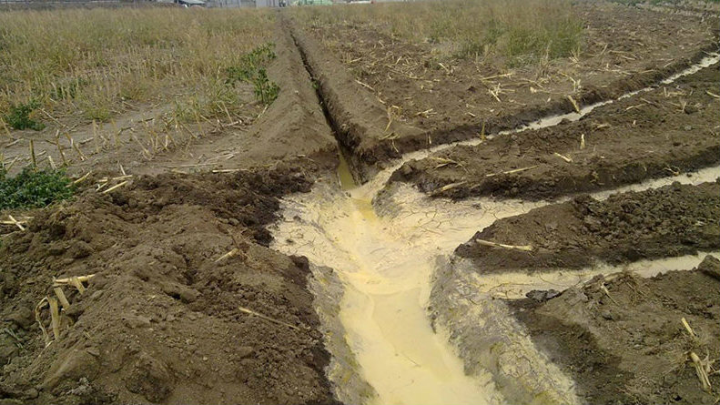 SSP: Zrenjanin postaje lider u regionu za najprljavije industrije 1