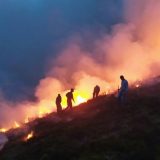 Zaustavljeno širenje vatre na Staroj Planini, očekuje se dolazak "iljušina" 9