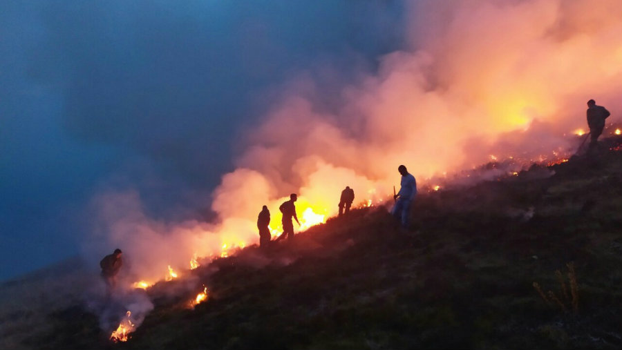 Zaustavljeno širenje vatre na Staroj Planini, očekuje se dolazak "iljušina" 1