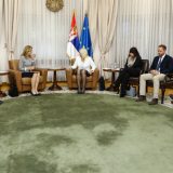 Mihajlović o populacionoj politici: Mere Vlade ne mogu da daju brze rezulate 4