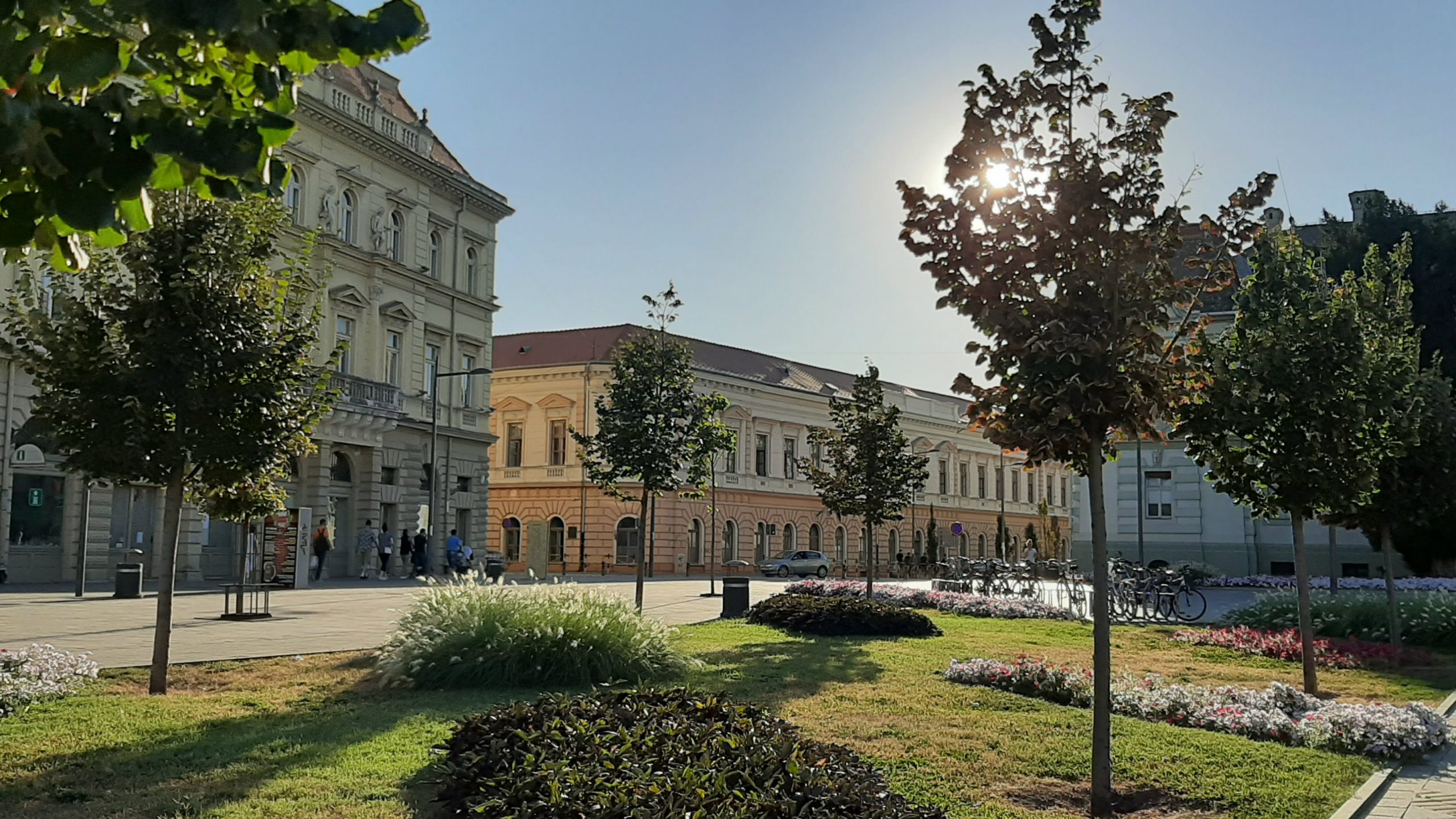 Zelena stranka uputila zahtev Trivanu za hitno rešavanje zagađenosti Zrenjanina 1