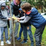 U akciji Posadi svoj hlad na Zvezdari biće posađeno 600 sadnica belog jasena 14