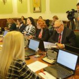 Krlić: Nisam prejudicirao da će Zekić biti "zamenjena" 2