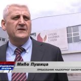 Pušica - "izvorni naprednjak" blizak Selakoviću 3