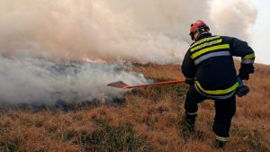 Bivši vatrogasac iz Niša: Požare gasimo metlaricama i naprtnjačama 2