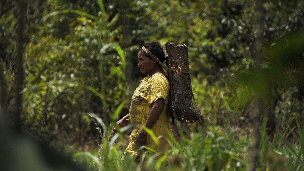 Domorotkinja etničke grupe Piaroa odlazi u šumu da sakuplja držva u okolini Puerto Ajačučo u Venecueli