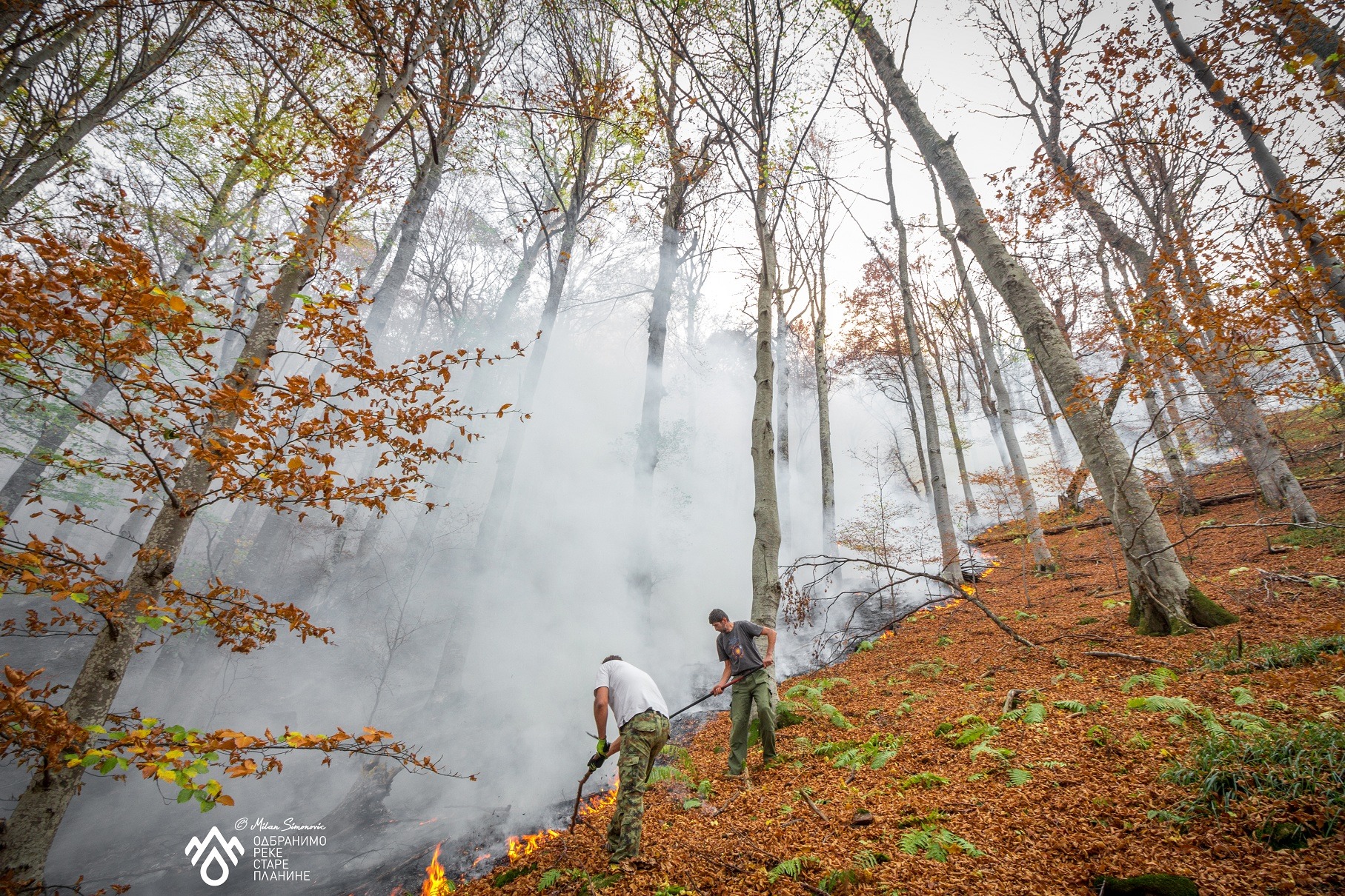 Požar na Staroj planini: „Žar sam gasio rukama i nogama" 1 požar na staroj planini kod toplog dola