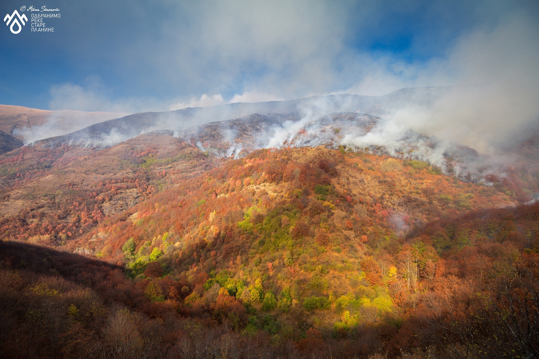 požar na staroj planini kod toplog dola