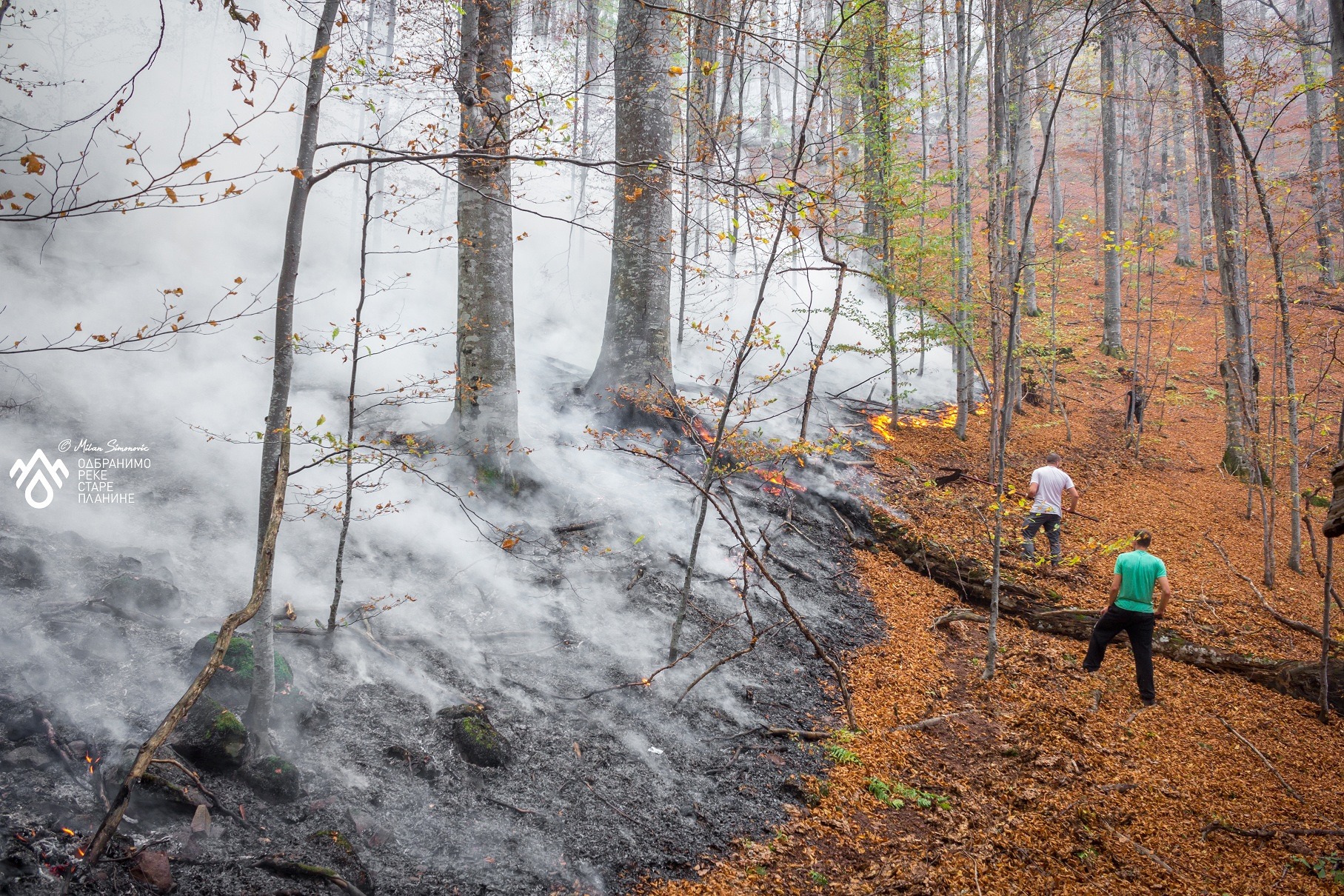stara planina požar