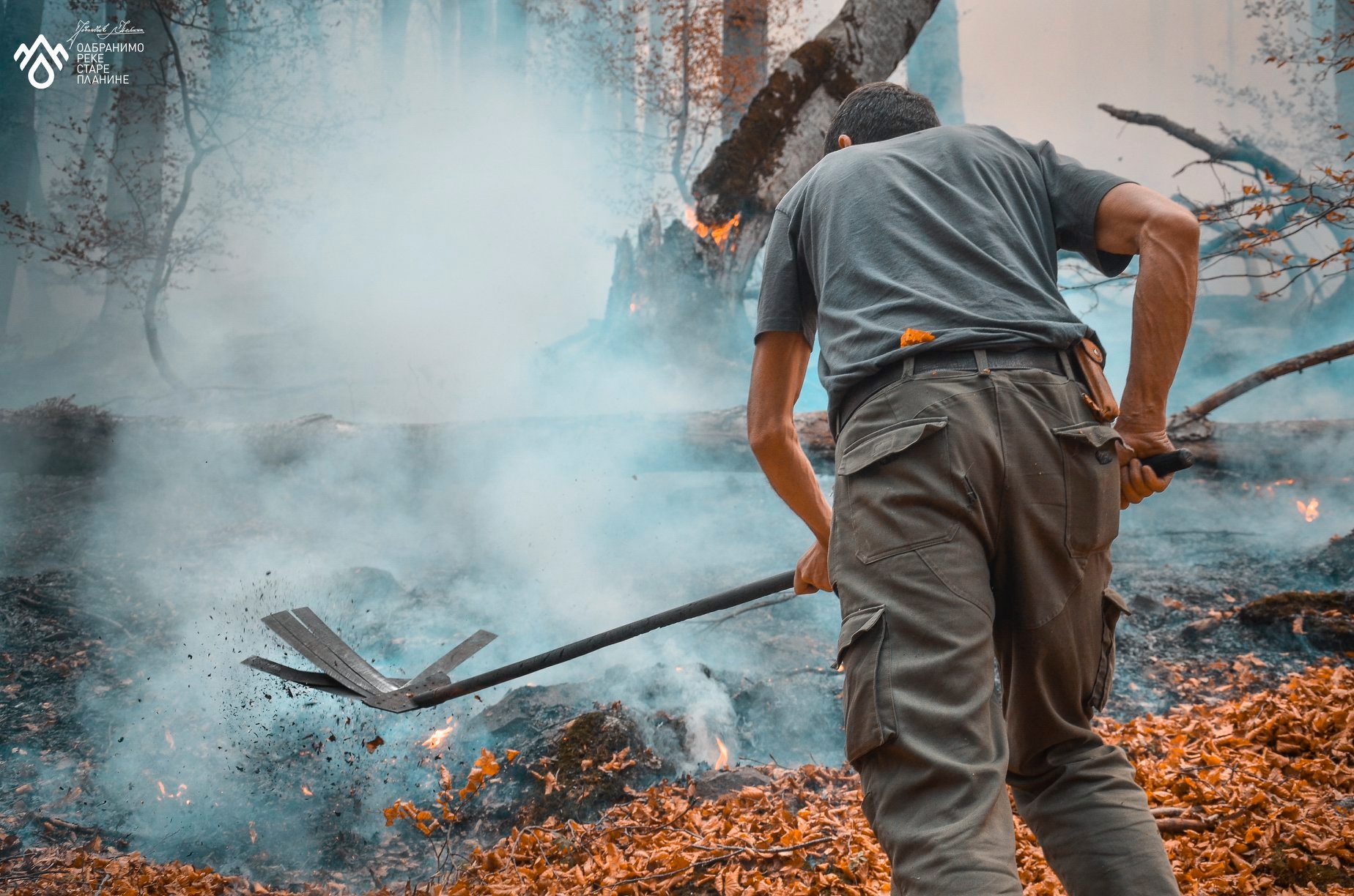 stara planina požar