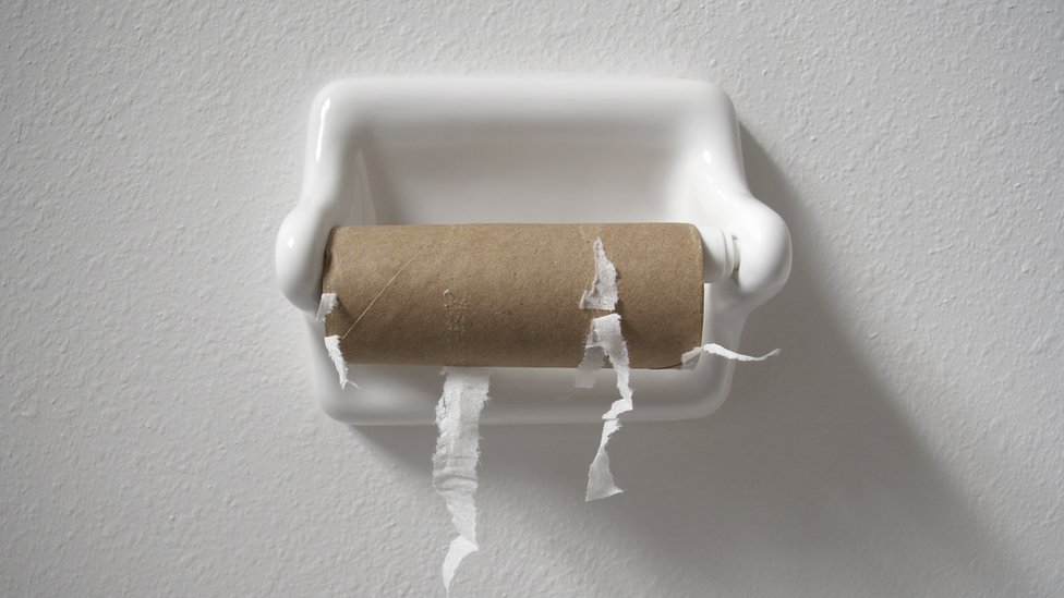 Svetski dan toaleta: Brisati ili oprati - pitanje koje je podelilo svet 4 Empty toilet paper roll