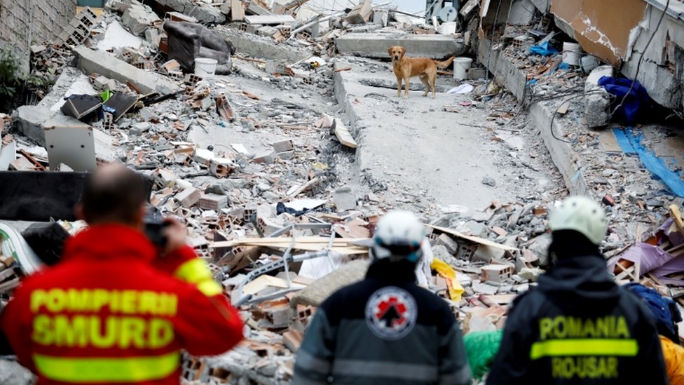 A rescue dog searches for survivors in a collapsed building in Durres, after an earthquake shook Albania, 28 November 2019