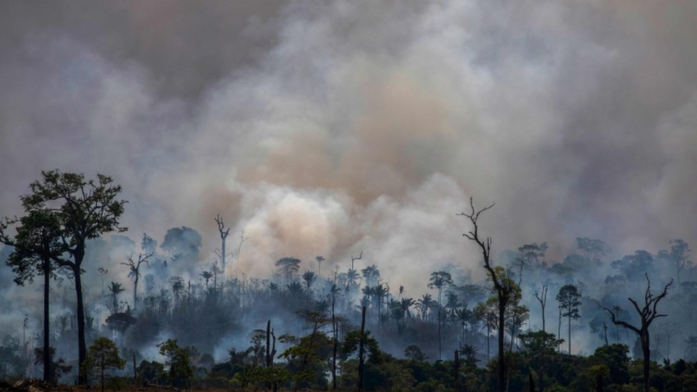Amazonija u požaru