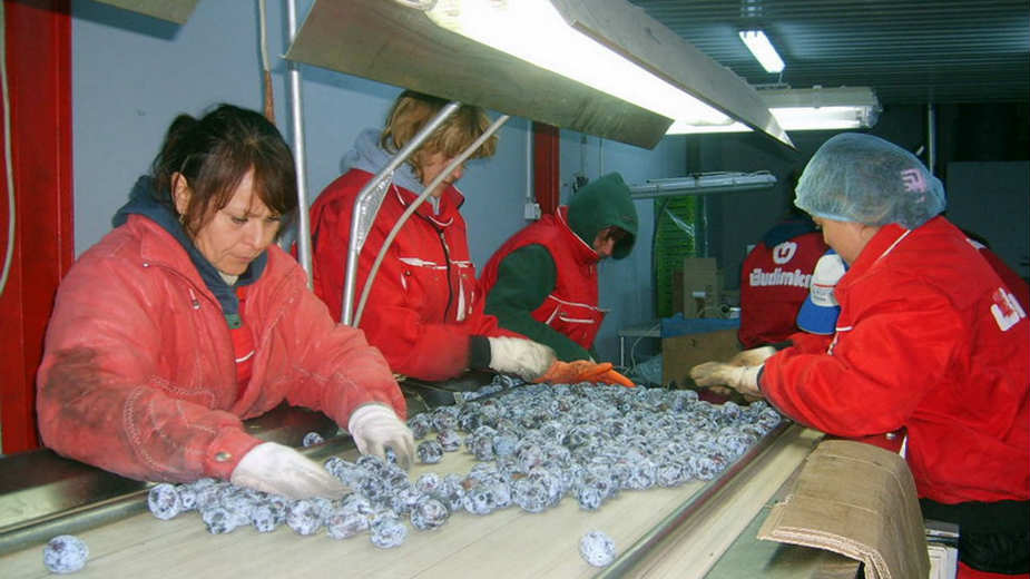 Inmold, INT i Omorika hoće Budimku 1