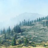 Vatra na Staroj planini samo u "džepovima" 7