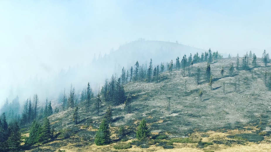 Vatra na Staroj planini samo u "džepovima" 1