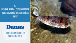 Najčitaniji tekstovi od 18. do 23. novembra Plagijat Malog i ruska "špijunska afera" obeležili nedelju (VIDEO) 3