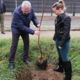 Titel sadi 16.000 stabala, po jedno drvo za svakog stanovnika 6
