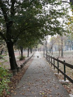 Kako izgleda Ada Ciganlija u jesenjem periodu? (FOTO) 7