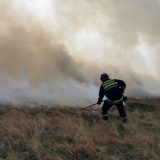 MUP: Vatrogasci tokom jula ugasili 601 požar na otvorenom, samo u Beogradu 124 7
