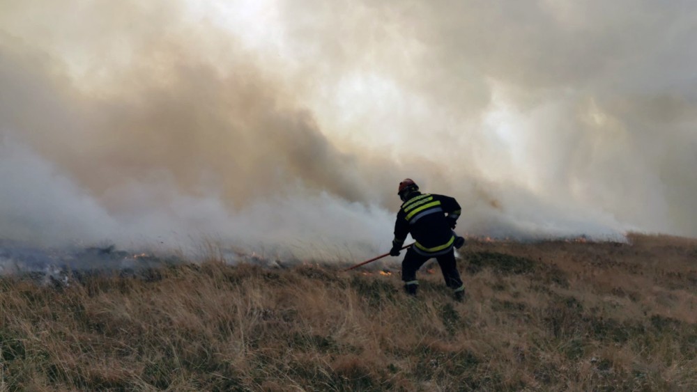 MUP: Vatrogasci tokom jula ugasili 601 požar na otvorenom, samo u Beogradu 124 1