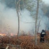 Požar na Suvoj planini, trenutno nema ugroženih 9