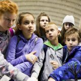 Popularni mitovi koje je nauka razotkrila: Od ljudskog mozga do Kineskog zida 8