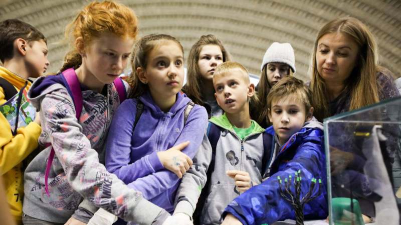 Popularni mitovi koje je nauka razotkrila: Od ljudskog mozga do Kineskog zida 1