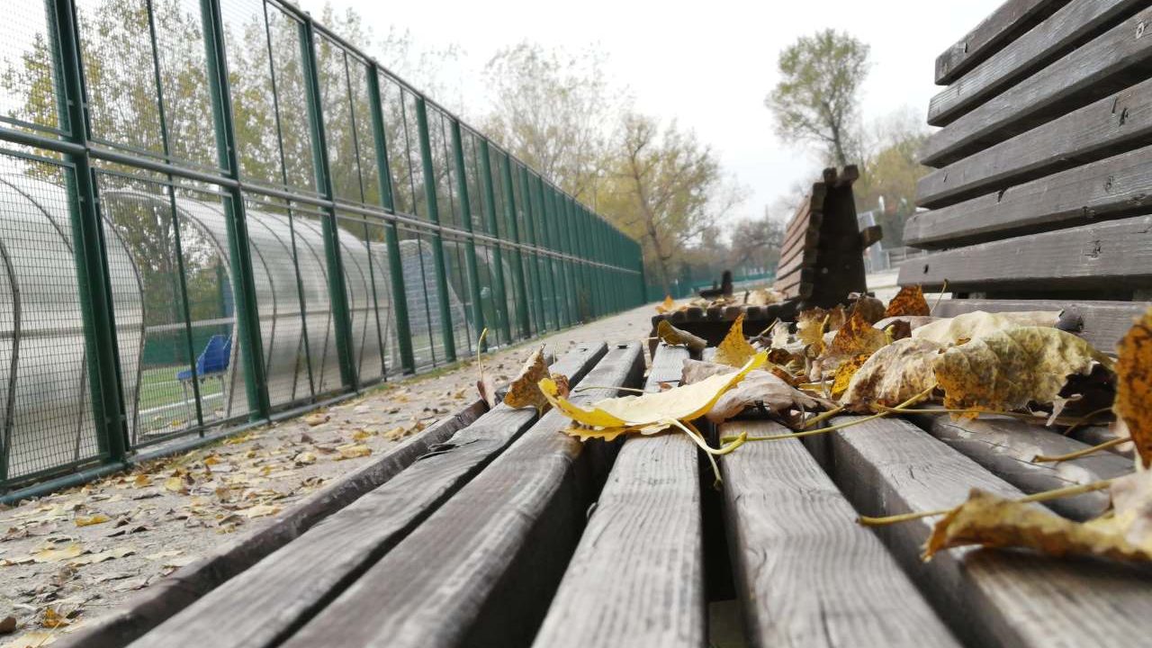 Kako izgleda Ada Ciganlija u jesenjem periodu? (FOTO) 1