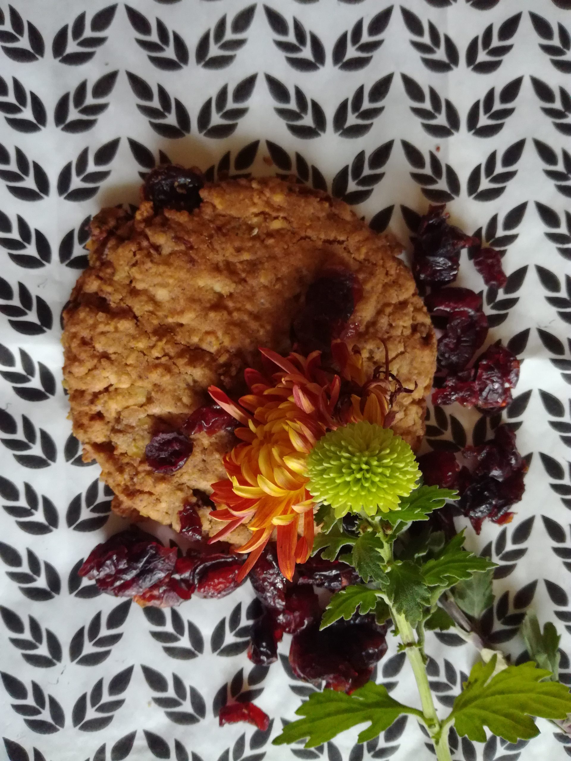 Kuki sa brusnicama i ovsenim pahuljicama (recept) 1