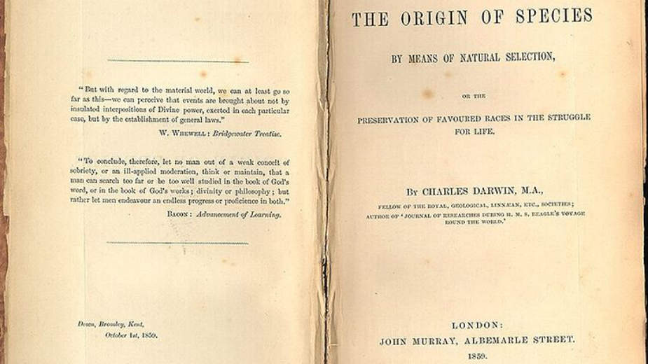 Dva lica piraterije 1 Dva lica piraterije 1