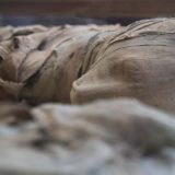 Naučnici rekreirali glas mumije stare 3.000 godina 7