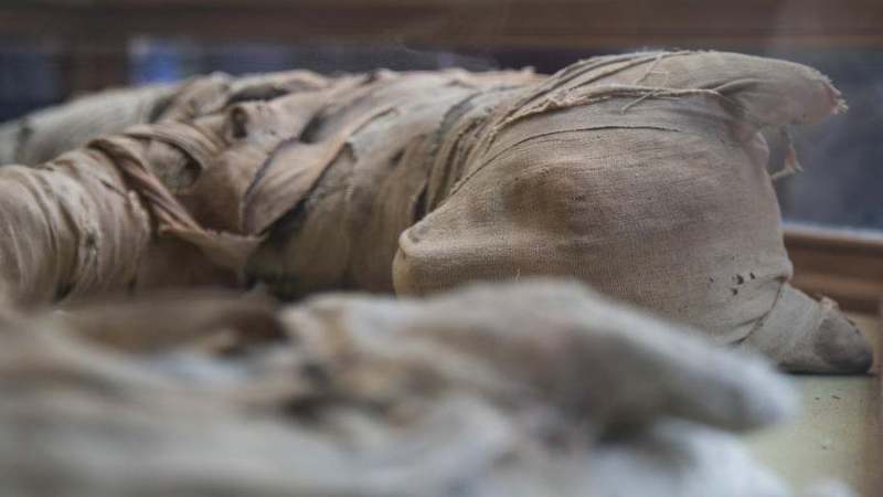U Egiptu otkrivene mumije životinja 1