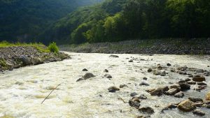 Ekološki ustanak danas je saopštio da firma C&amp;M Niskogradnja, "razara korito reke Velika Morava" na prostoru sela Donje Vidovo i Potočac, da su o potencijalnoj šteti obavestili Ministarstvo za zaštitu životne sredine i ministarku Sara Pavkov, ali da su povratna reakcija ili adekvatne mere izostale.