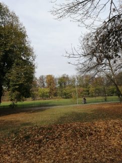 Kako izgleda Ada Ciganlija u jesenjem periodu? (FOTO) 8