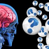 Korona, učiteljica života 1