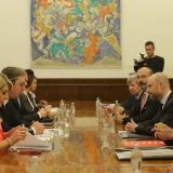 Vučić sa delegacijom Evropskog parlamenta o izbornim uslovima u Srbiji 8