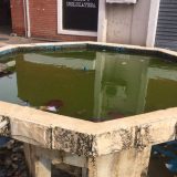 Zelena stranka: Čime se bavi Savet Mesne zajednice? 3