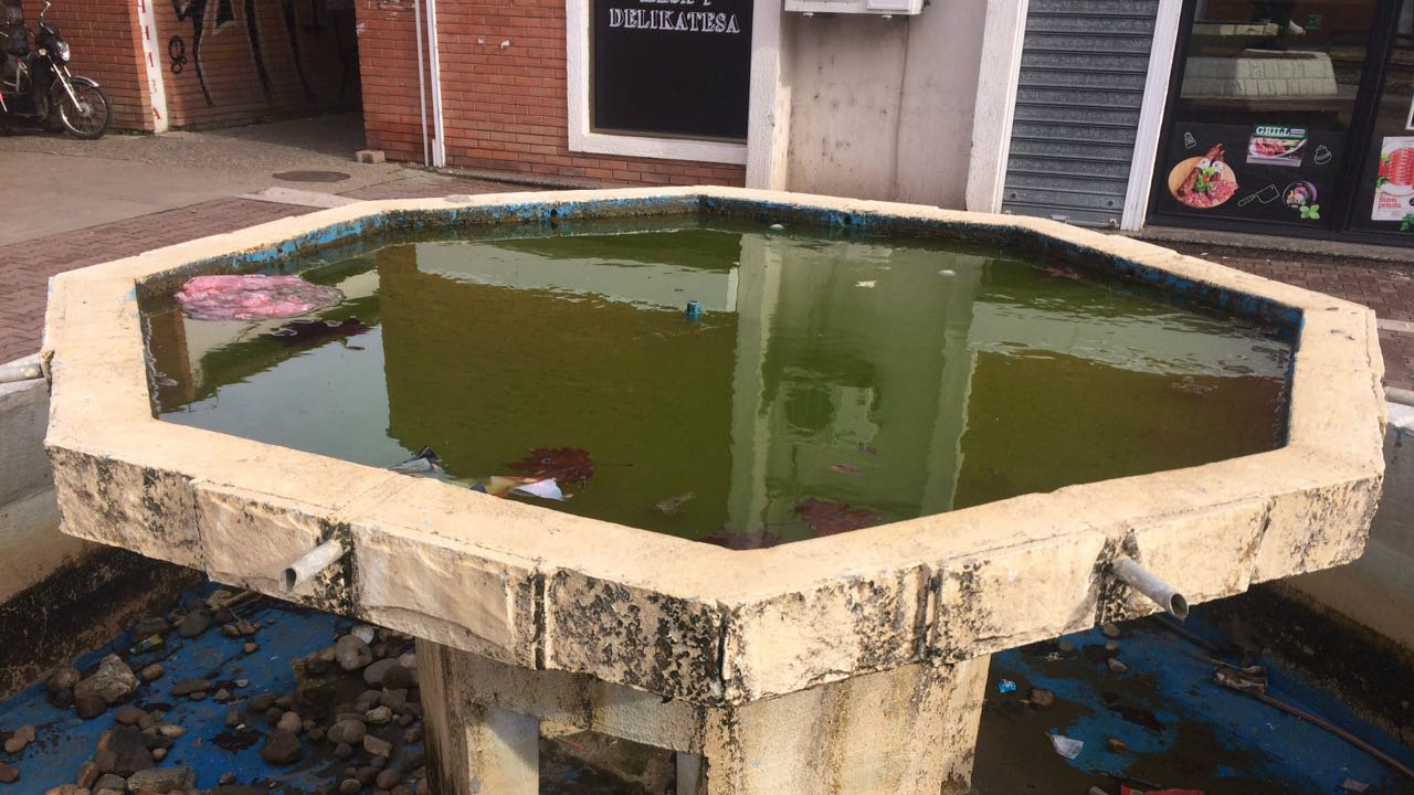 Zelena stranka: Čime se bavi Savet Mesne zajednice? 1